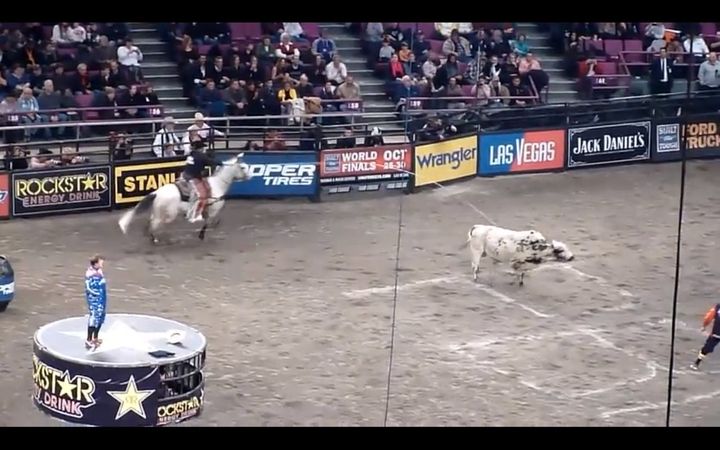 Professional Bull Riders Take Over Madison Square Garden Huffpost