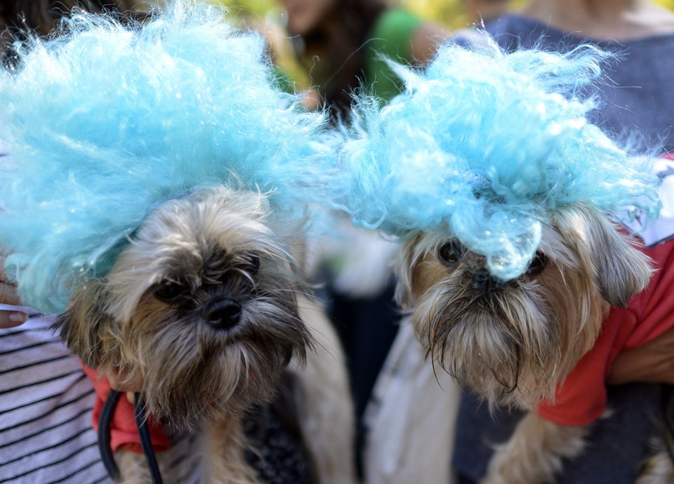 US-HALLOWEEN-DOG PARADE