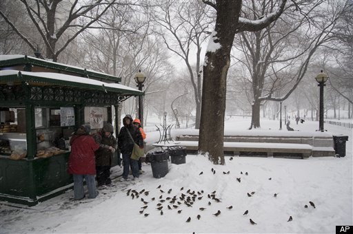 Central Park Tree Limb Kills Man: Man Dead After Snow-Covered Tree Limb ...