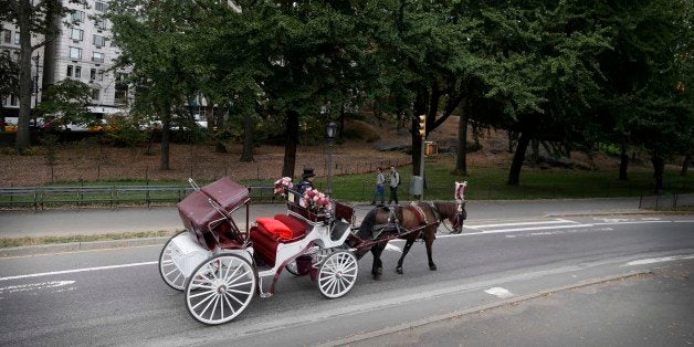 In this Oct. 23, 2013 photo, passengers enjoy a horse-drawn carriage ride in New York Cityâs Central Park. The practice of taking passengers on nostalgic rides through New York City streets could end with the inauguration of a new mayor. Both major candidates for the New York City mayorâs office would like to see horse-drawn carriages removed from the city's busy streets. (AP Photo/Seth Wenig)