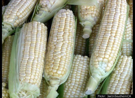 Bill to make sweet corn the state vegetable