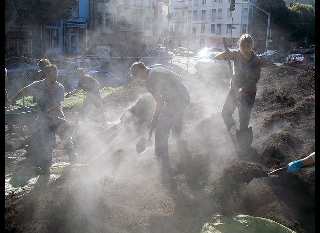 Hayes Valley Farm