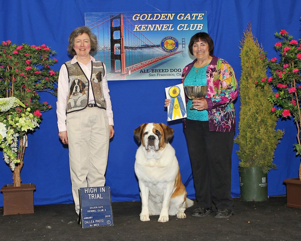 Golden gate hotsell kennel club