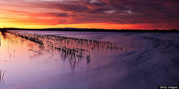 Sunset colors flooded farmlands in Sacramento Delta.