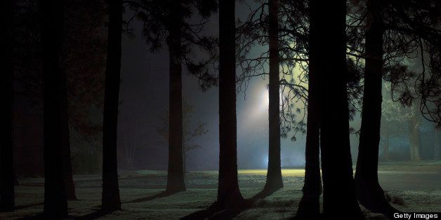 Light coming through trees at night