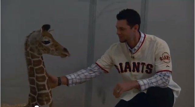 Babies and Ferraris — Brandon Belt