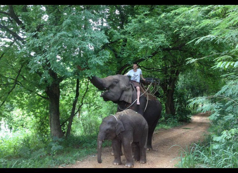 Riding an elephant in Thailand