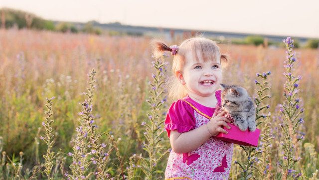 little girl with cats outdoor