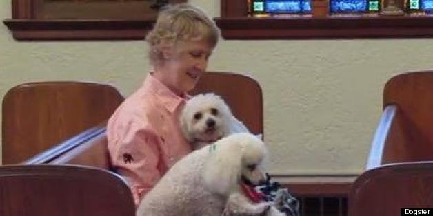 are service dogs allowed in churches