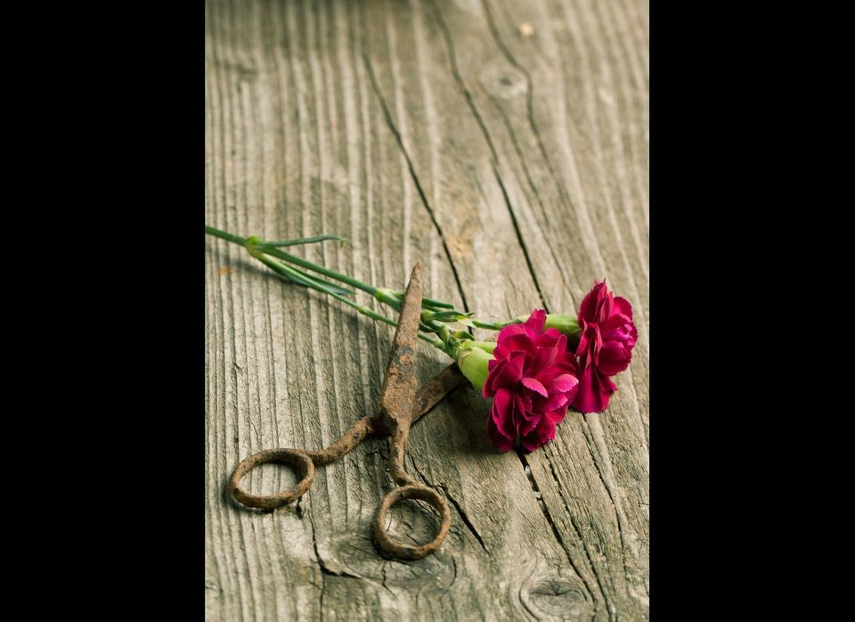 Cut Your Flowers' Stems...