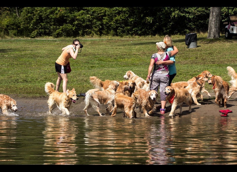 A Crowd at the Lake