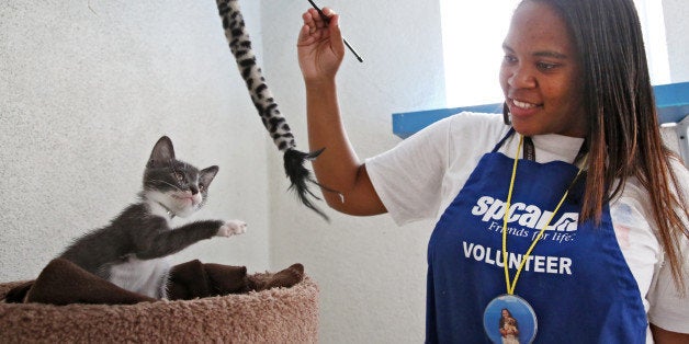 These People Do The Dirty Work That Keeps Rescue Animals Happy And Healthy | HuffPost Good News These People Do The Dirty Work That Keeps Rescue Animals Happy And Healthy | HuffPost Good News