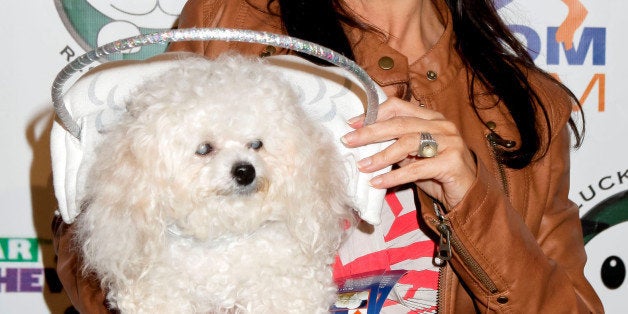 STUDIO CITY, CA - DECEMBER 08: Silvie Bordeaux and Muffin Bordeaux attend the Lucky Puppy Rescue and Retail grand opening on
