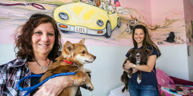 In this Wednesday, May 20, 2015 photo, Laurie Bernie, left, and daughter Emily Bernie, right, founder and president at LIFE Animal Rescue, pose for a photo with rescued dogs Casey, left, and Velvet at their shelter in Agoura Hills, Calif. LIFE Animal Rescue has placed 50 dogs rescued from Thailand over the past two years. Moreover, the 24-year-old rescue has placed more than 6,000 dogs locally, since it was started. (AP Photo/Damian Dovarganes)