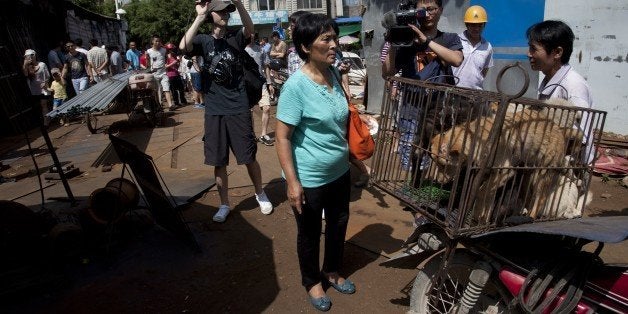 This picture taken on June 20, 2015 shows animal-loving Yang Xiaoyun (C) going around buying some 100 dogs at a market in Yul