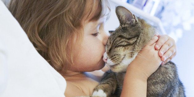 Child is kissing a cat