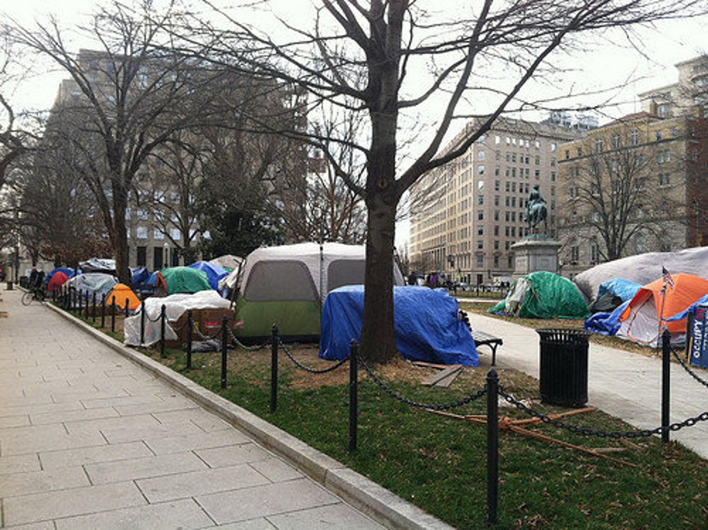 Dc Rat Occupy DC Rat Camp: Health Inspector Concerned About McPherson Square ...