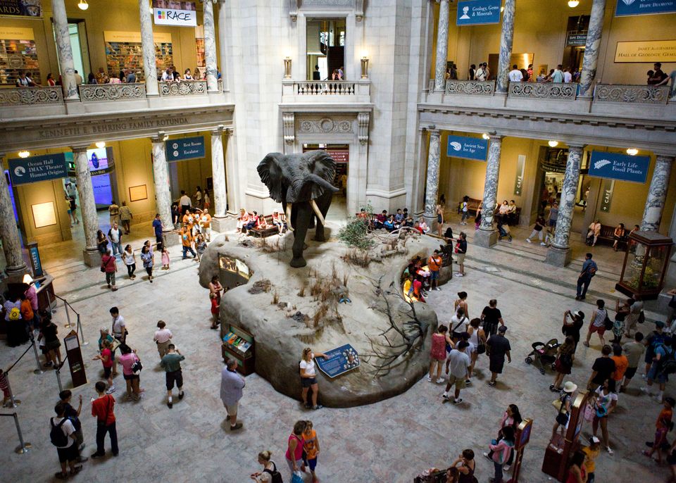 Most Visited: National Museum of Natural History - 7,600,000 visitors
