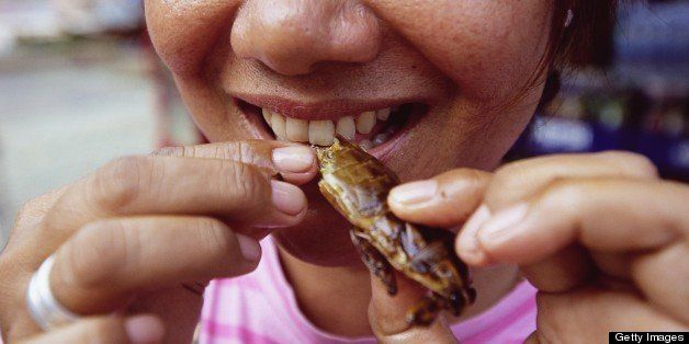 THAILAND - JANUARY 01: Strange Food In Thailand On January 01, 2010-In Thailand, eating insects is very popular: worms, caterpillar, cicadas, crickets, ants, etc... are rich in proteins, vitamins & minerals. (Photo by Eric-Paul-Pierre PASQUIER/Gamma-Rapho via Getty Images)