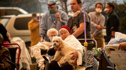 Μεγάλη φωτιά σαρώνει με τη Β.Καλιφόρνια-Στάχτη ένα νοσοκομείο και φόβοι για νεκρούς