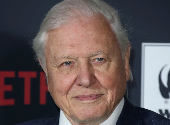 Sir David Attenborough is to narrate a new nature documentary for streaming giant Netflix.