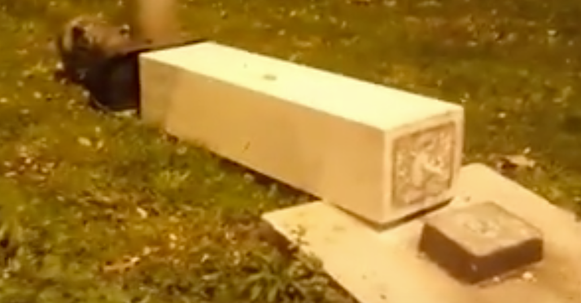 Man's Toppling Of AntiFascist Statue Goes Painfully Awry HuffPost