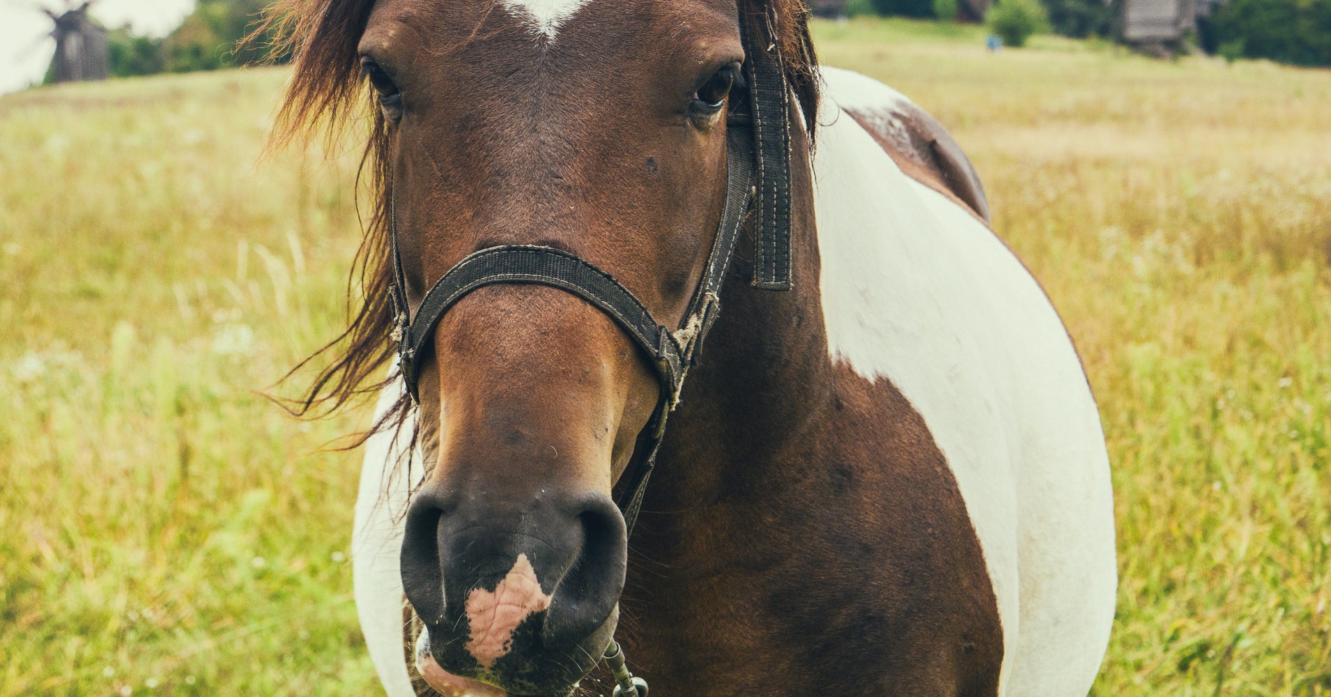 The Most Profound ‘Shower Thoughts’ On Reddit This Week HuffPost