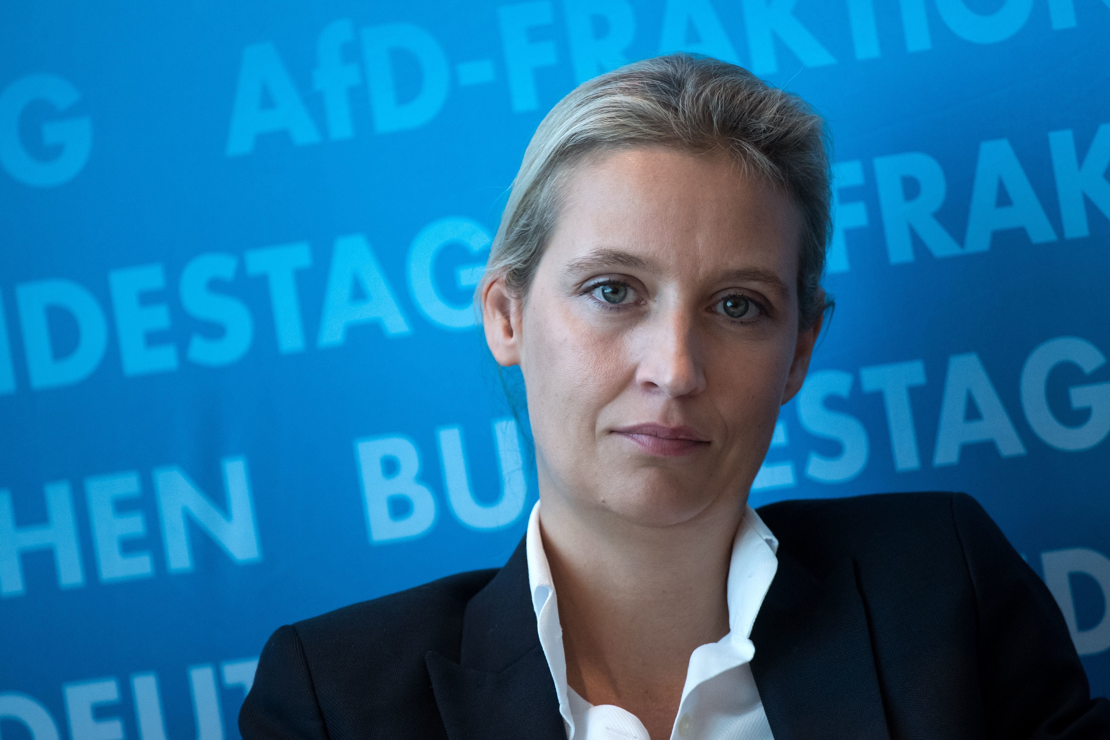 Das ist die Zürcher Firma, die 150'000 Franken an AfD-Weidel spendete