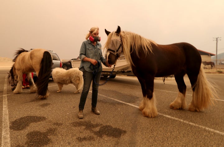 Marty Cable is one of dozens of horse owners who evacuated her home in Encinal Canyon to bring their animals to an evacuation area at Zuma Beach in Malibu on Friday.