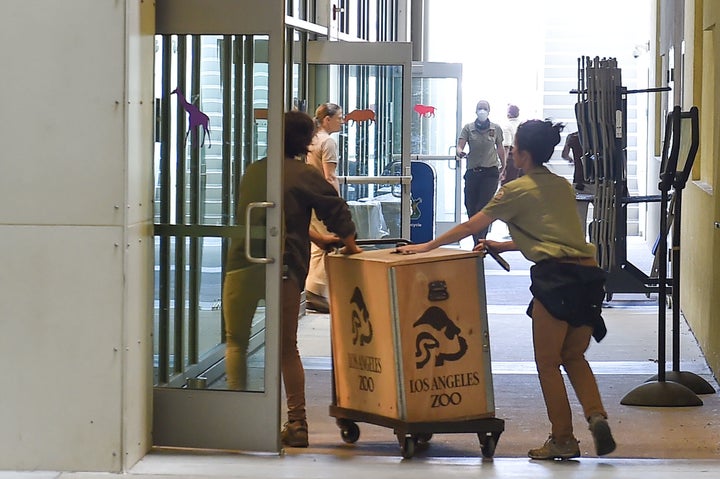 Staff at the Los Angeles Zoo move birds into an indoor classroom to protect them from the smoke from a wildfire in nearby Gri