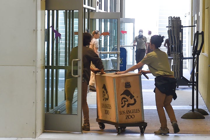 Staff at the Los Angeles Zoo move birds into an indoor classroom to protect them from the smoke from a wildfire in nearby Griffith Park on Friday.