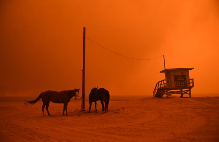 Horses are tied to a pole on a Malibu beach as heavy smoke from the Woolsey fire comes down the coastal hillsides Friday.