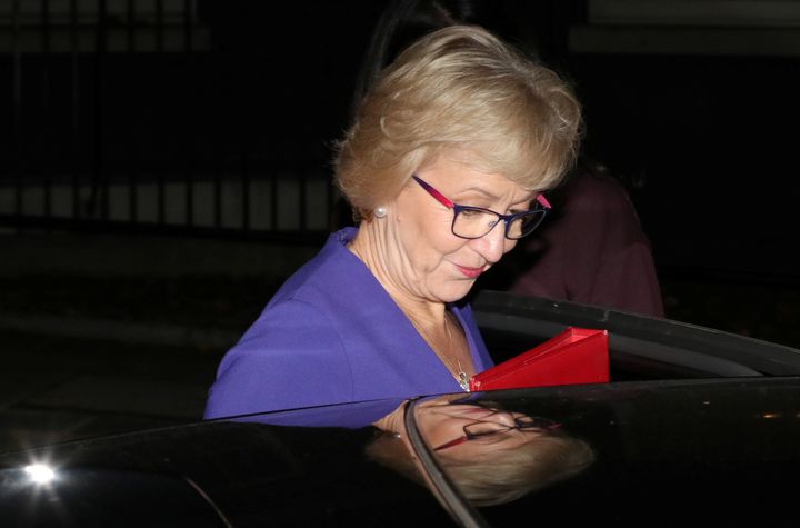 Andrea Leadsom leaving Downing Street on Tuesday night.