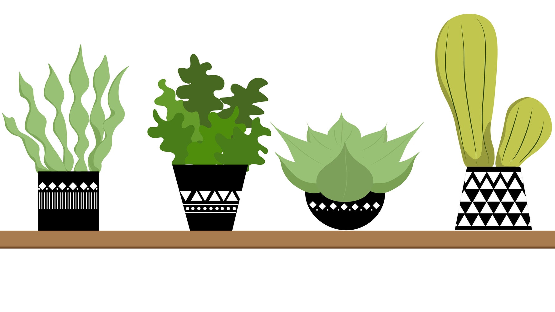 Best Indoor Plant Pots For Under £15 To Make Your Greenery Look Better