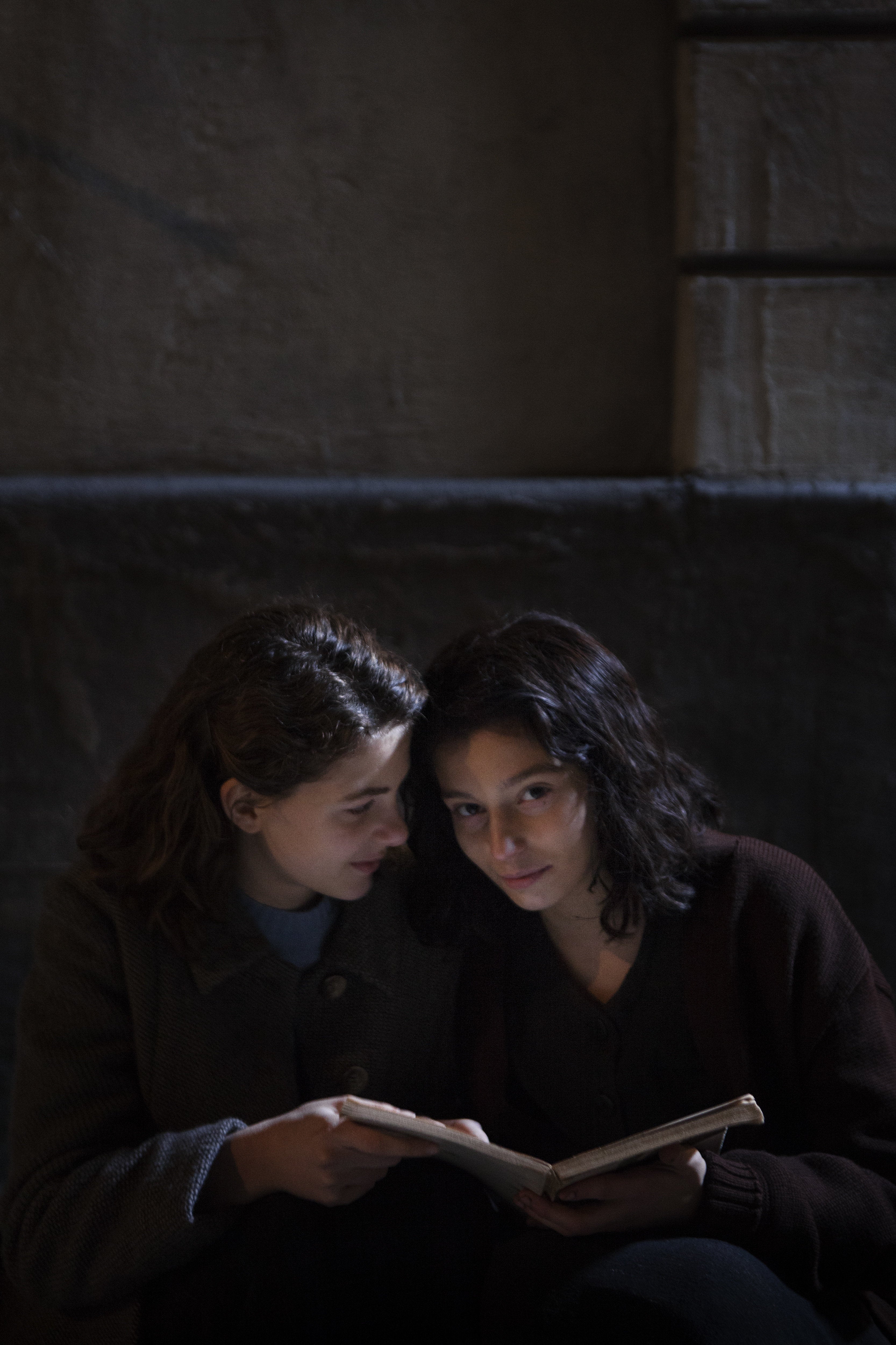 my brilliant friend elena my brilliant friend elena