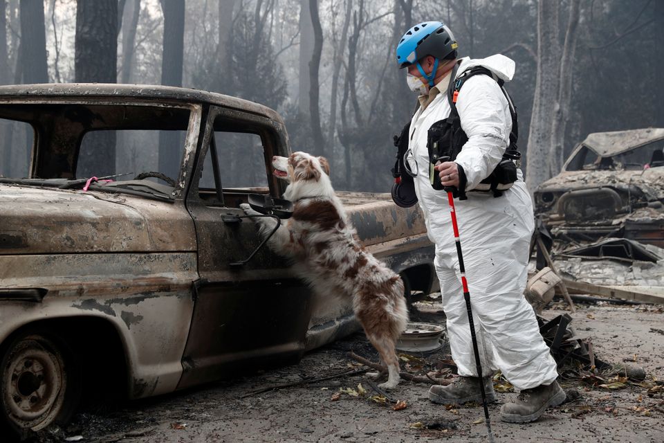 Trish Moutard, of Sacramento, searches for human remains with her cadaver dog in a truck destroyed by the Camp Fire in Paradise.