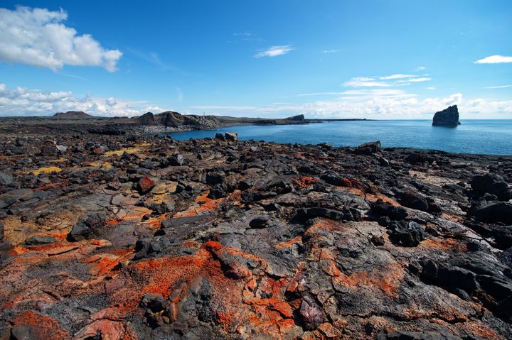 Icelandic lava field 