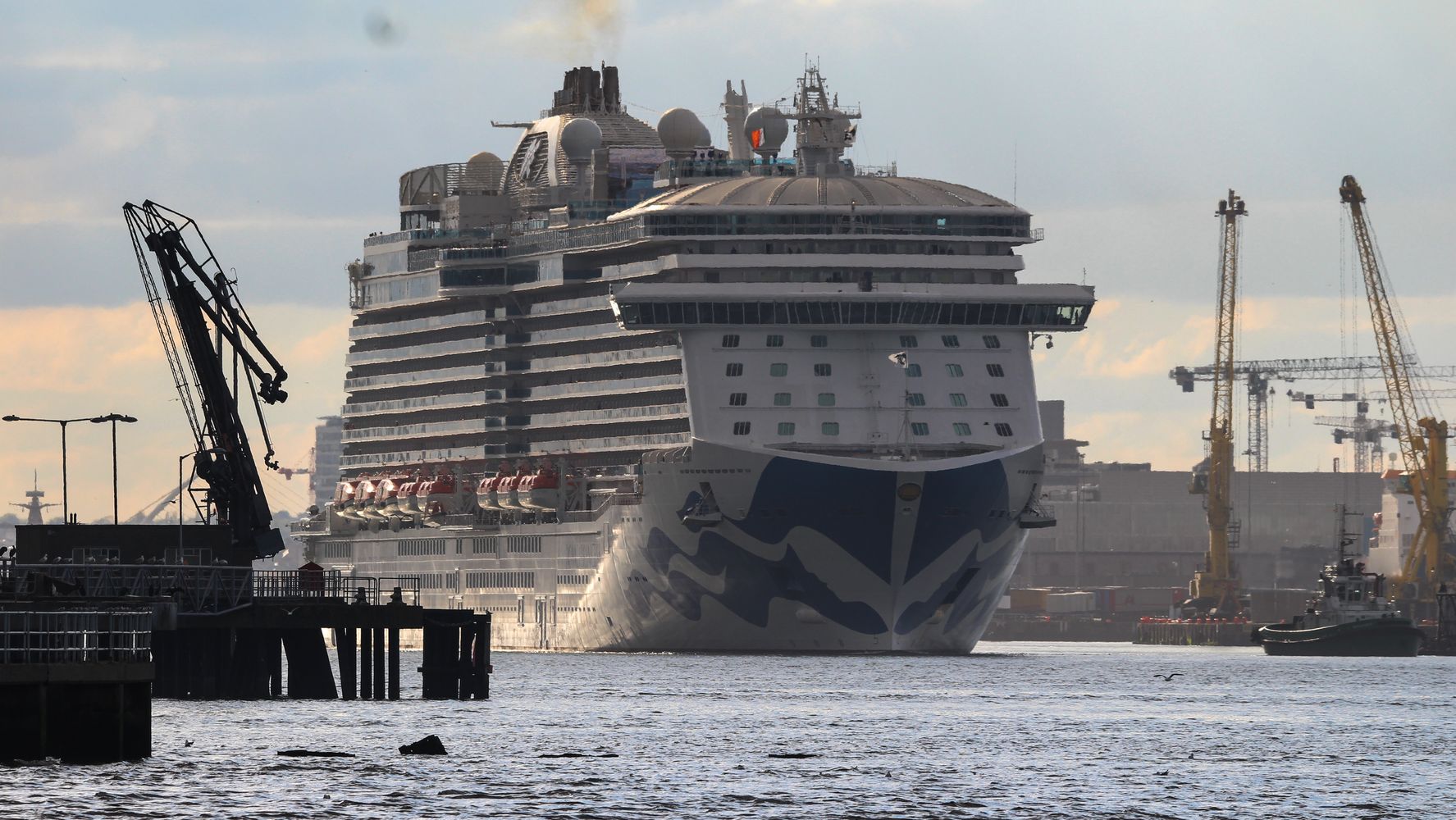 FBI, Aruba Police Probing Royal Princess Cruise Ship Death | HuffPost Life