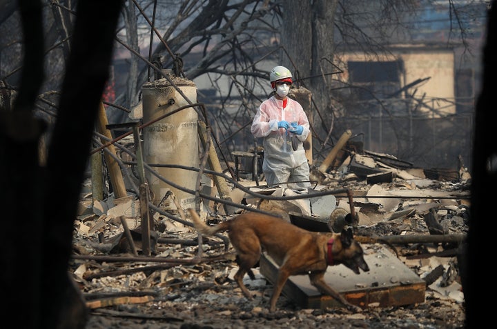 A rescue worker and her cadaver dog search the Paradise Gardens apartments for victims of the Camp Fire on November 16, 2018 in Paradise, California. (Photo by Justin Sullivan/Getty Images)