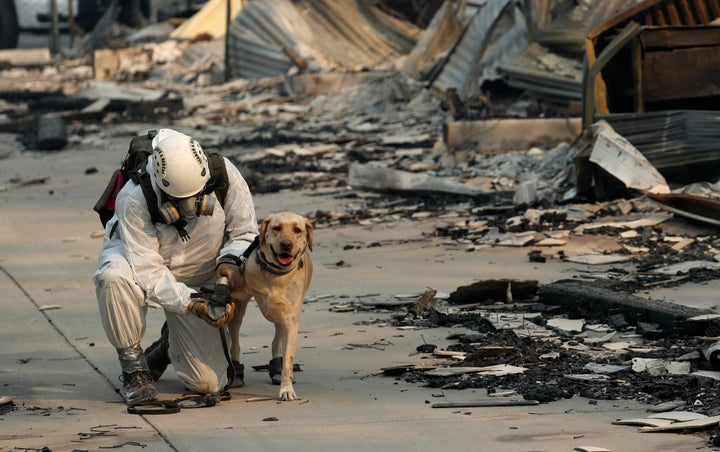 Volunteers went from burned house to burned house Sunday, accompanied by a cadaver dog with a bell on its collar that jingled in the grim landscape.