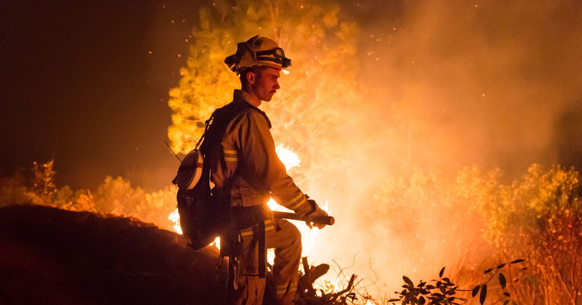 We Can’t Stop Wildfires – We Need To Relearn How To Live With Them ...