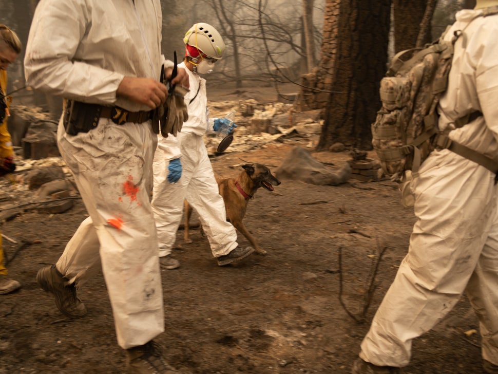 Eris, a member of the Butte County Sheriff's Search & Rescue K9 unit, walks with handlers through a devastated home in Pa