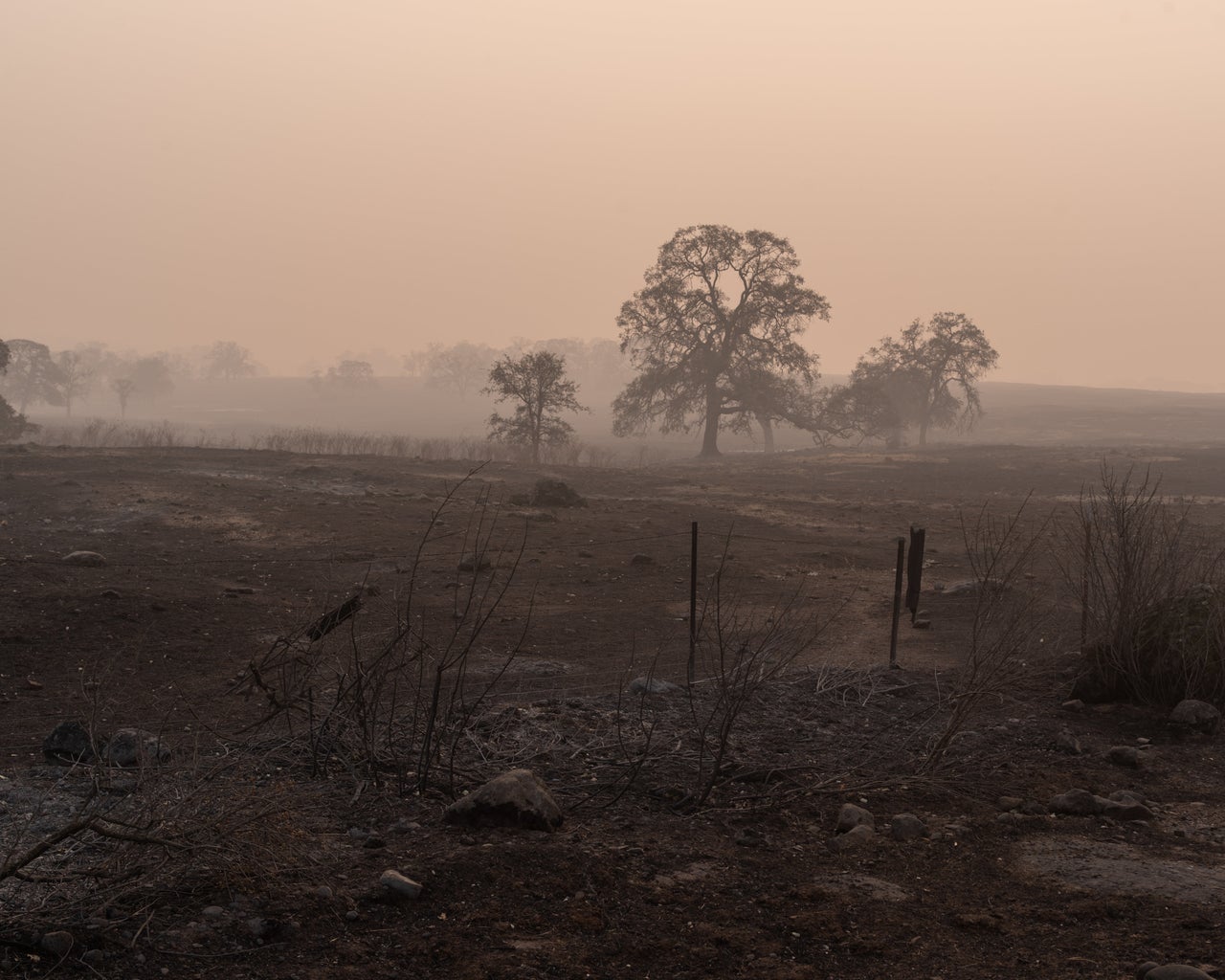 Searchers Rake Through California's Camp Fire Hellscape, Counting The ...