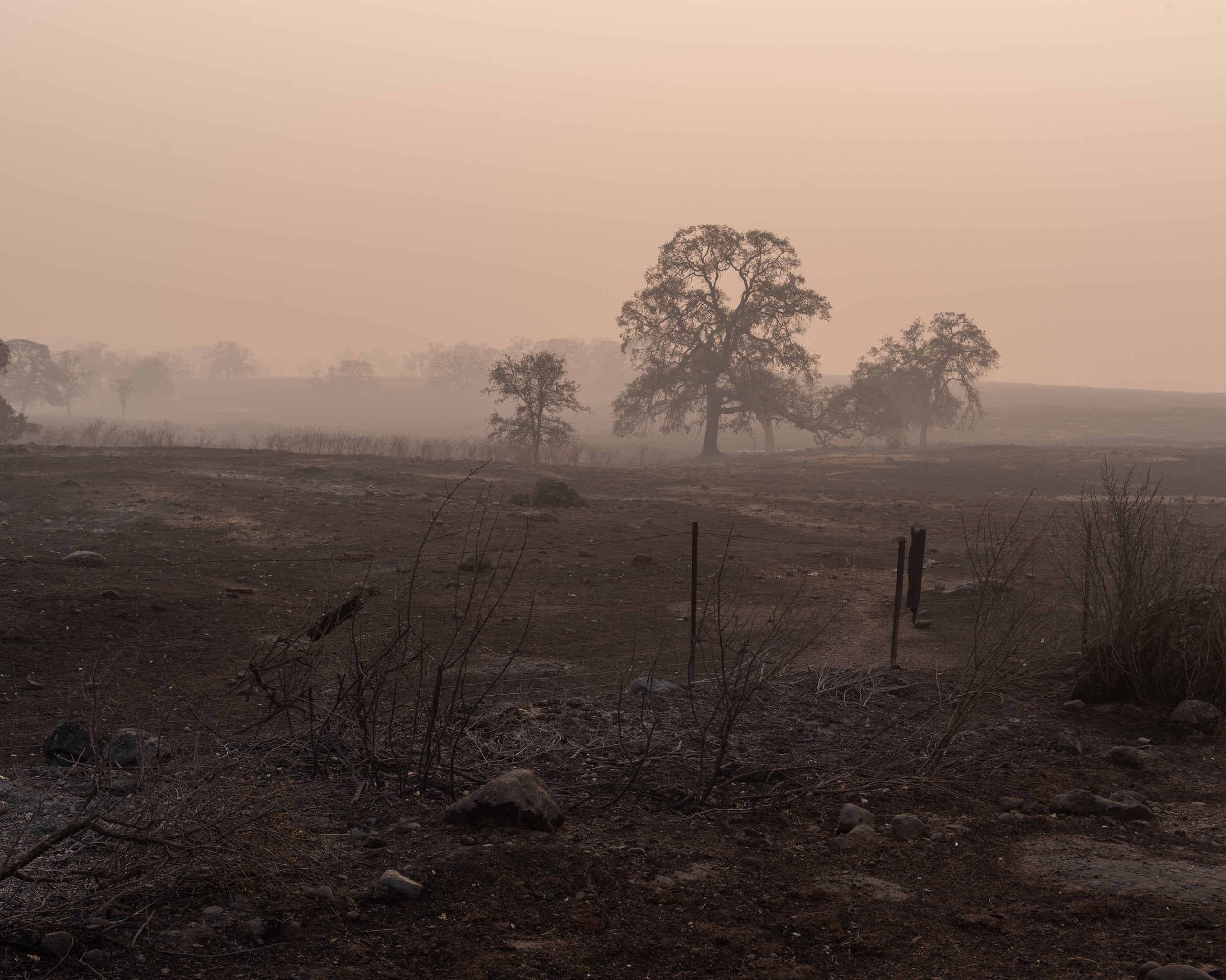 Views from a burned and smokey section of Skyway Road leading to Paradise.