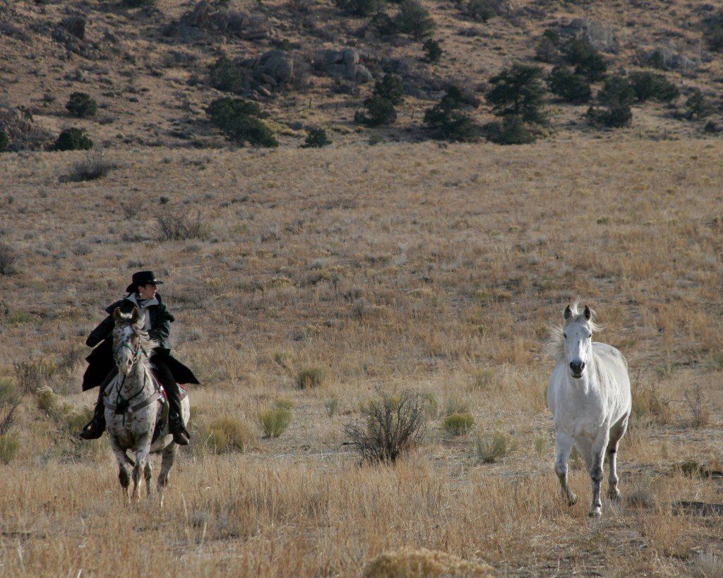Phyllis rides Spike on the Colorado ranch in 2005.