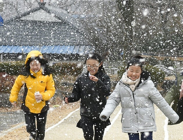 내일사회적협동조합 이미지