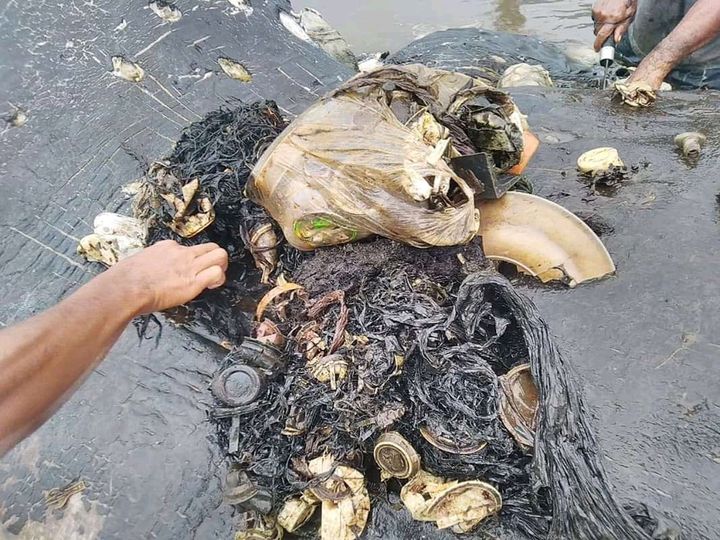 Plastic found in the whale's stomach.