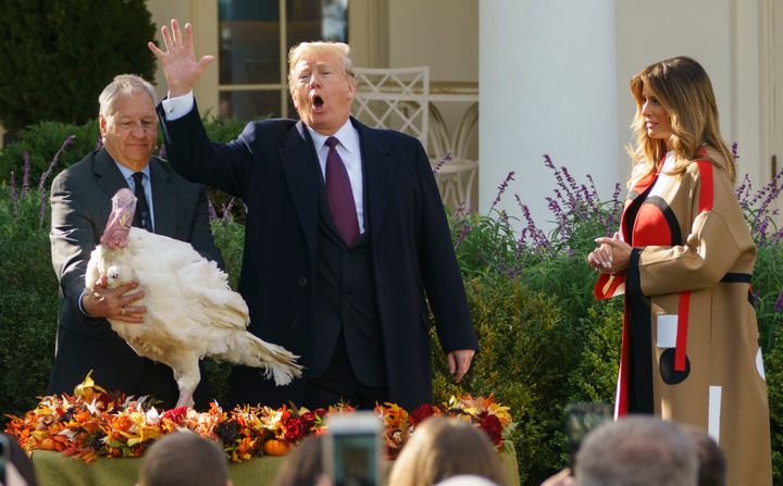 President Donald Trump pardons Peas as he and first lady Melania Trump participate in a turkey-pardoning ceremony in the Rose Garden of the White House on Tuesday. 