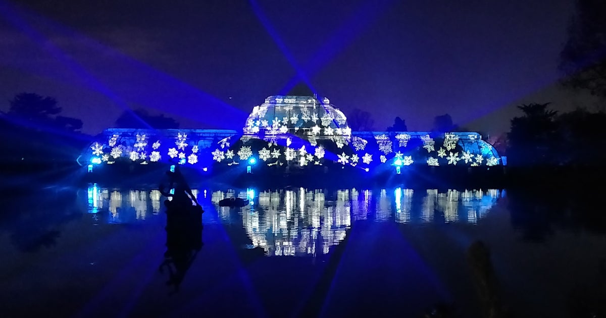 Christmas At Kew Gardens A Magical Evening Out With Millions Of Lights