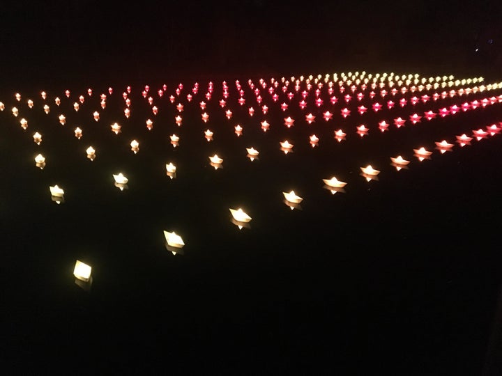 Origami lights float on the lake.